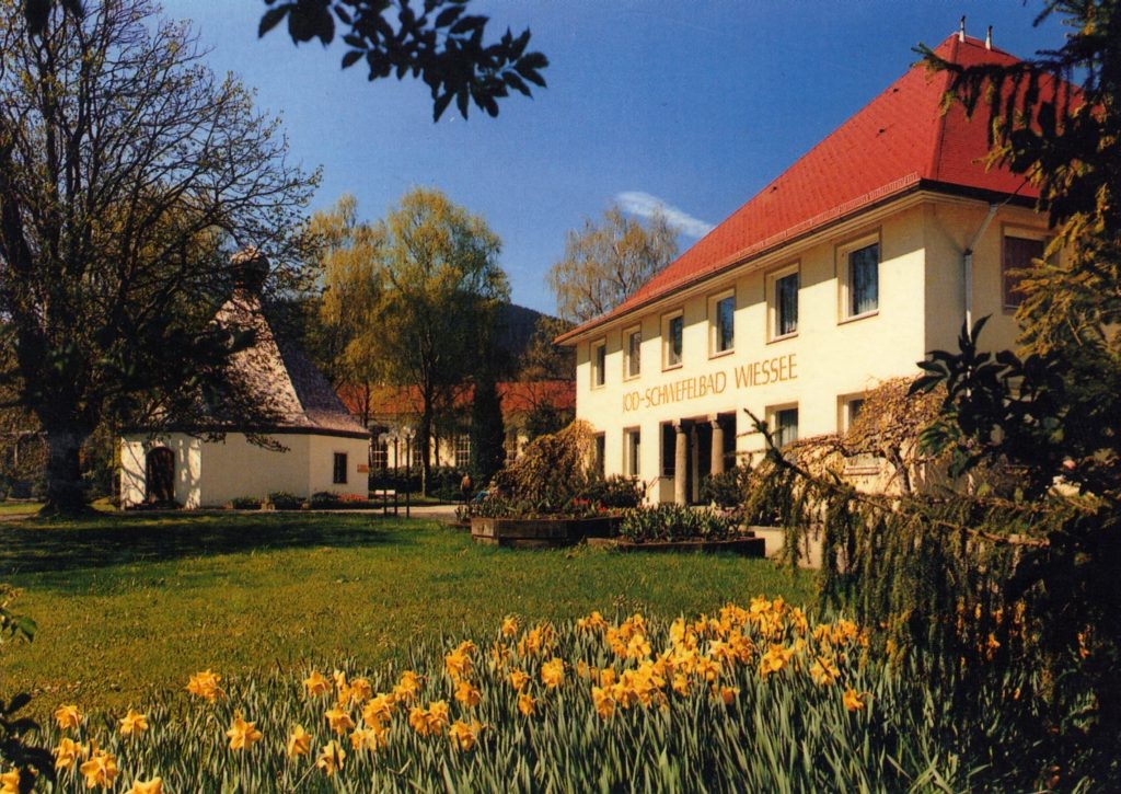 Badehaus met narcissen